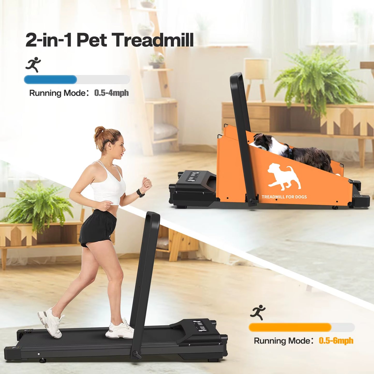 Pacer – Foldable Home Fitness Treadmill for Small & Medium Dogs