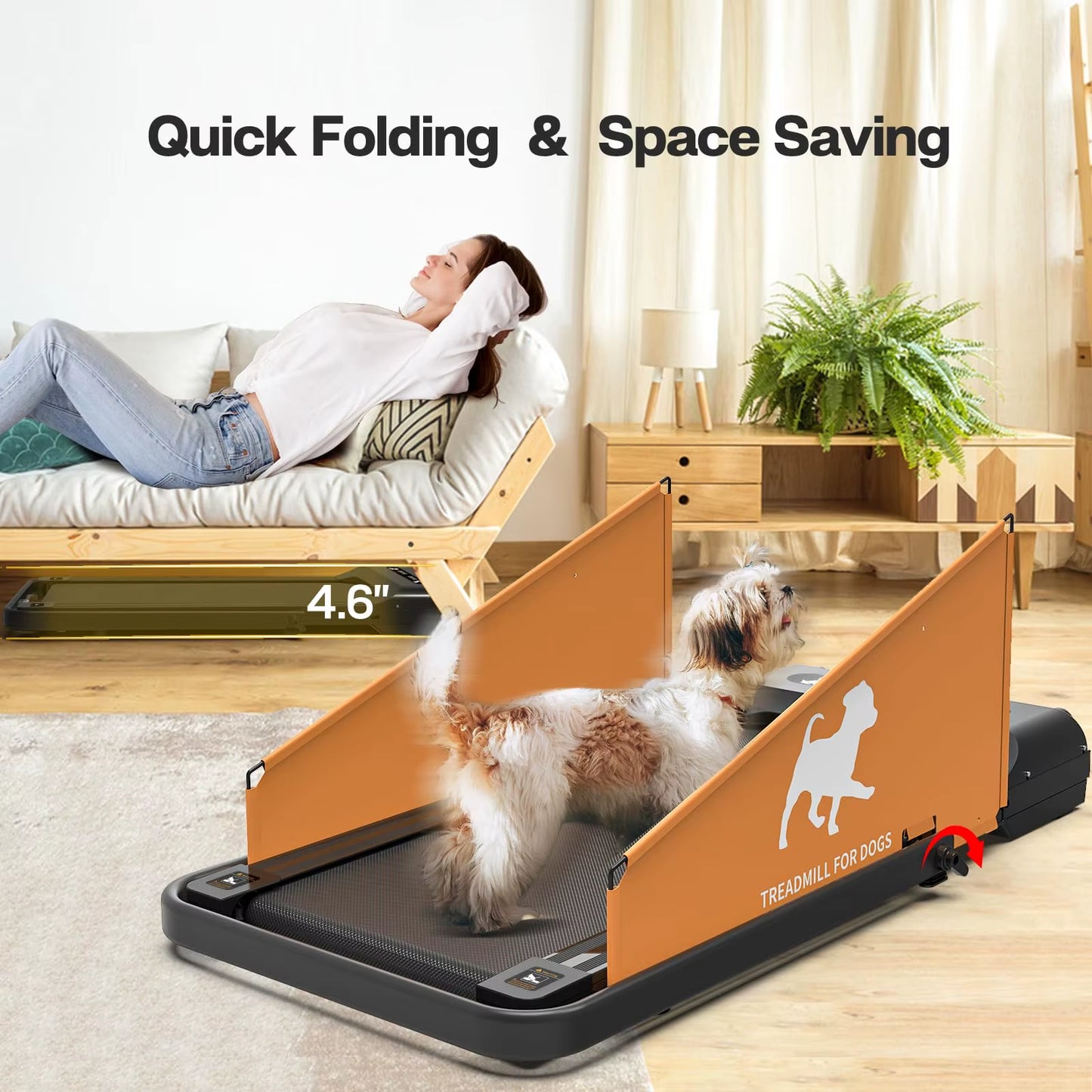 Pacer – Foldable Home Fitness Treadmill for Small & Medium Dogs