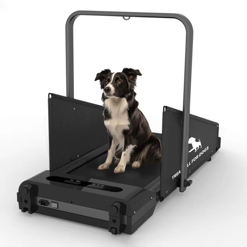 Pacer – Foldable Home Fitness Treadmill for Small & Medium Dogs