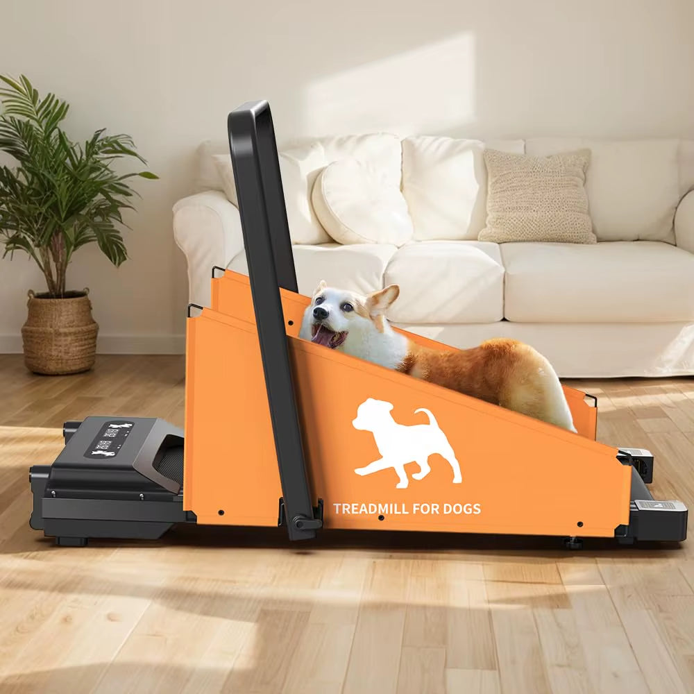 Pacer – Foldable Home Fitness Treadmill for Small & Medium Dogs