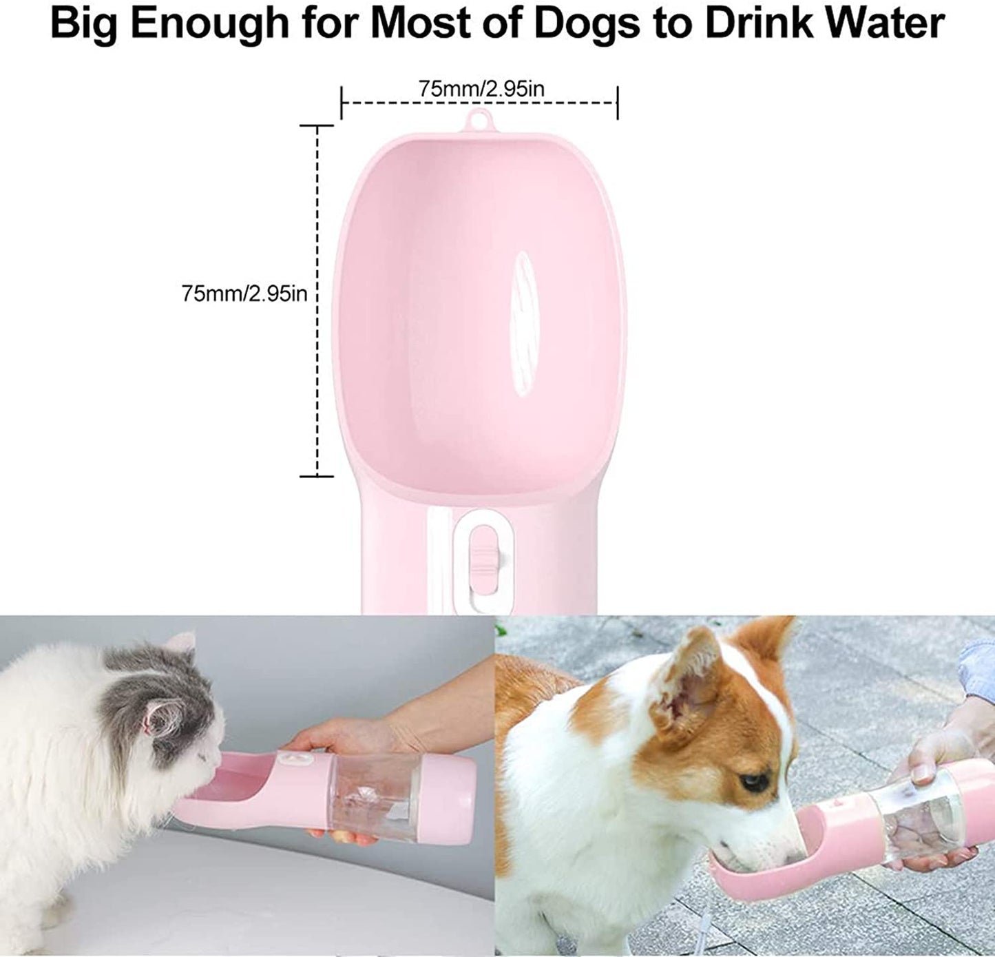 TakeAway โ Travel Water Bottle & Treat Storage