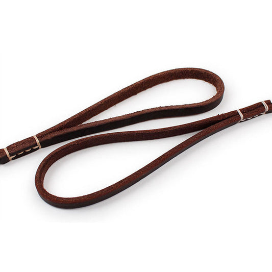 Help Your Dog Master Leash Walking with These Tips