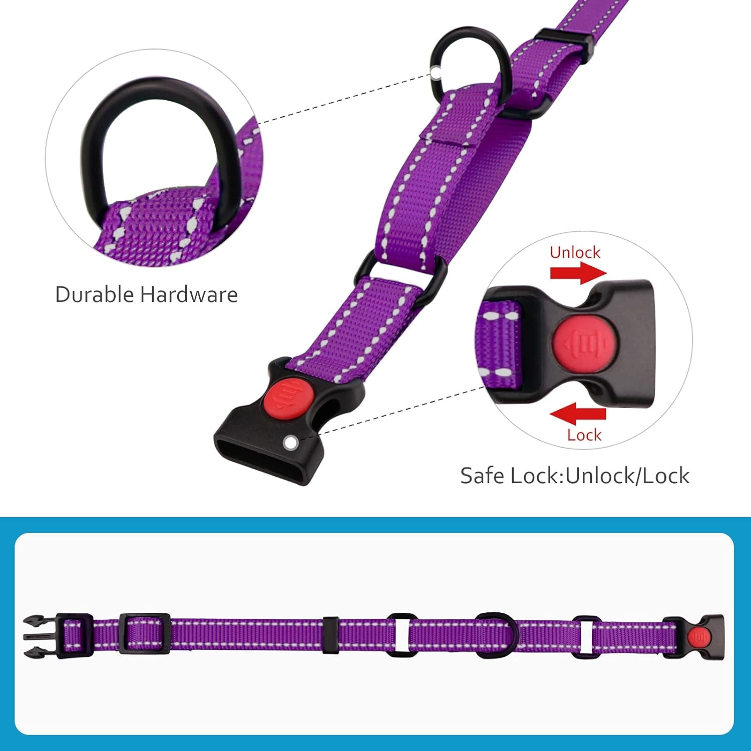 Martingale Collar & Leash Set