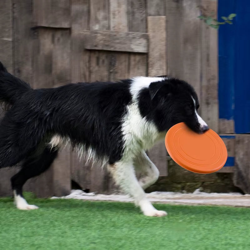 Silicone Flying Disc Toy Game For Dogs, Chew Resistant