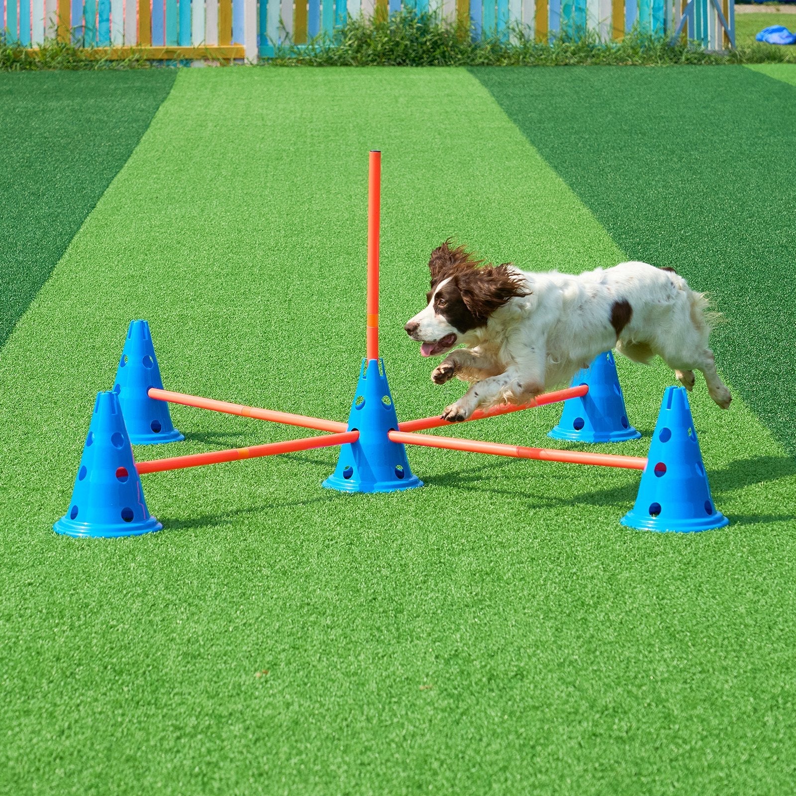 VEVOR Dog Agility Hurdle Cone 6 PCS Kit