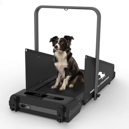 Pacer – Foldable Home Fitness Treadmill for Small & Medium Dogs