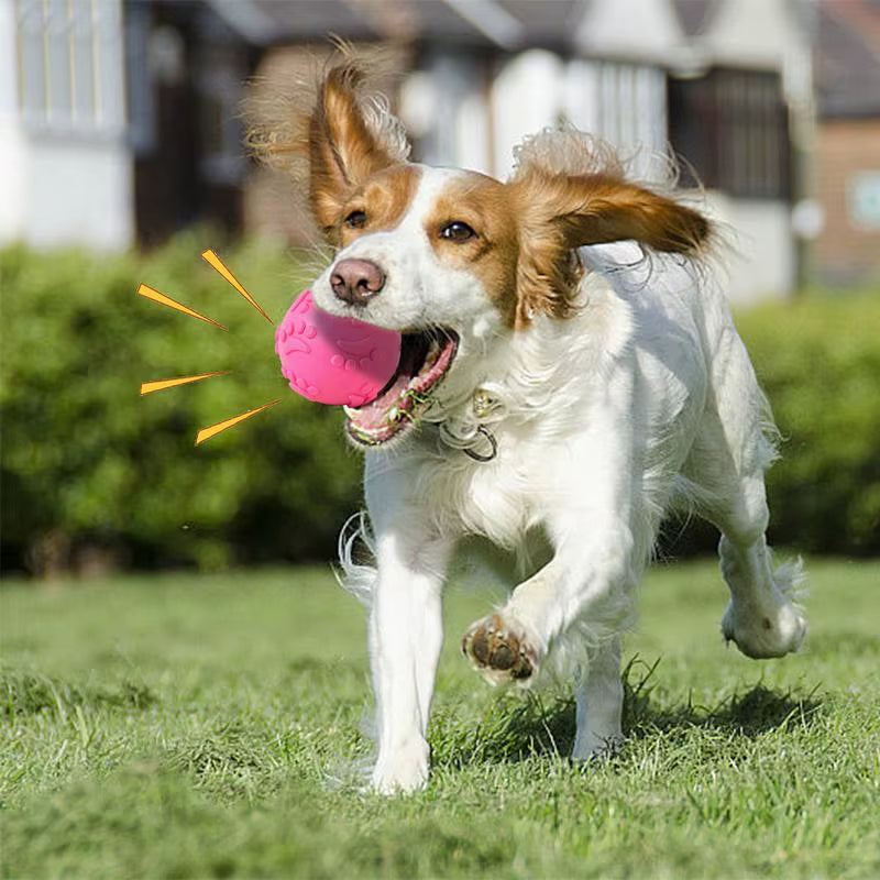 Indestructible Squeaky Chew Ball for Dogs