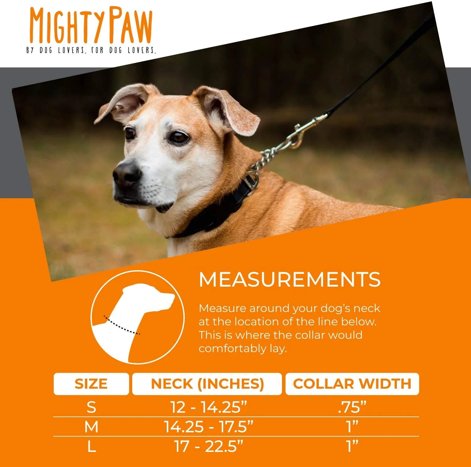 Martingale Collar - Training Dog Collar (for Gentle Correction)