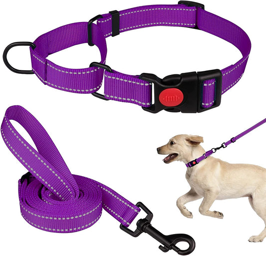 Martingale Collar & Leash Set