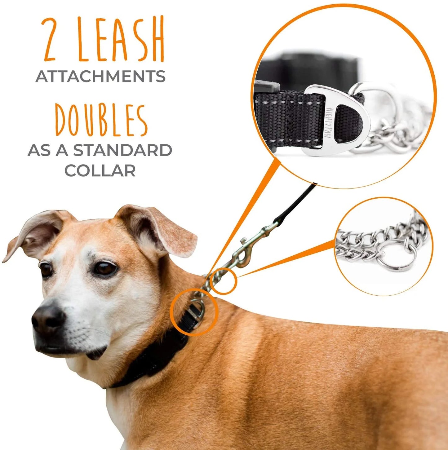 Martingale Collar - Training Dog Collar (for Gentle Correction)