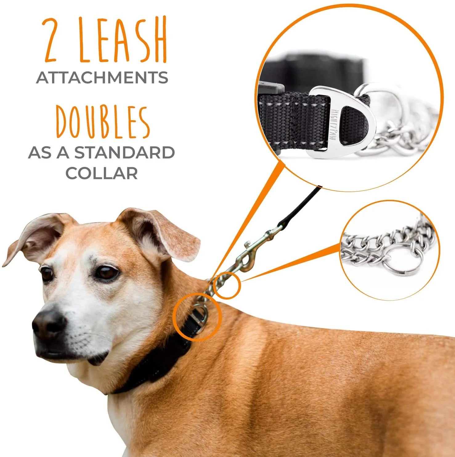 Martingale Collar - Training Dog Collar (for Gentle Correction)