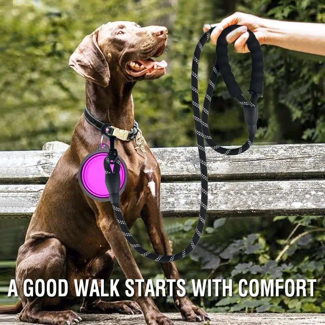 Durable Dog Walking Leash – Reflective & Comfortable Grip