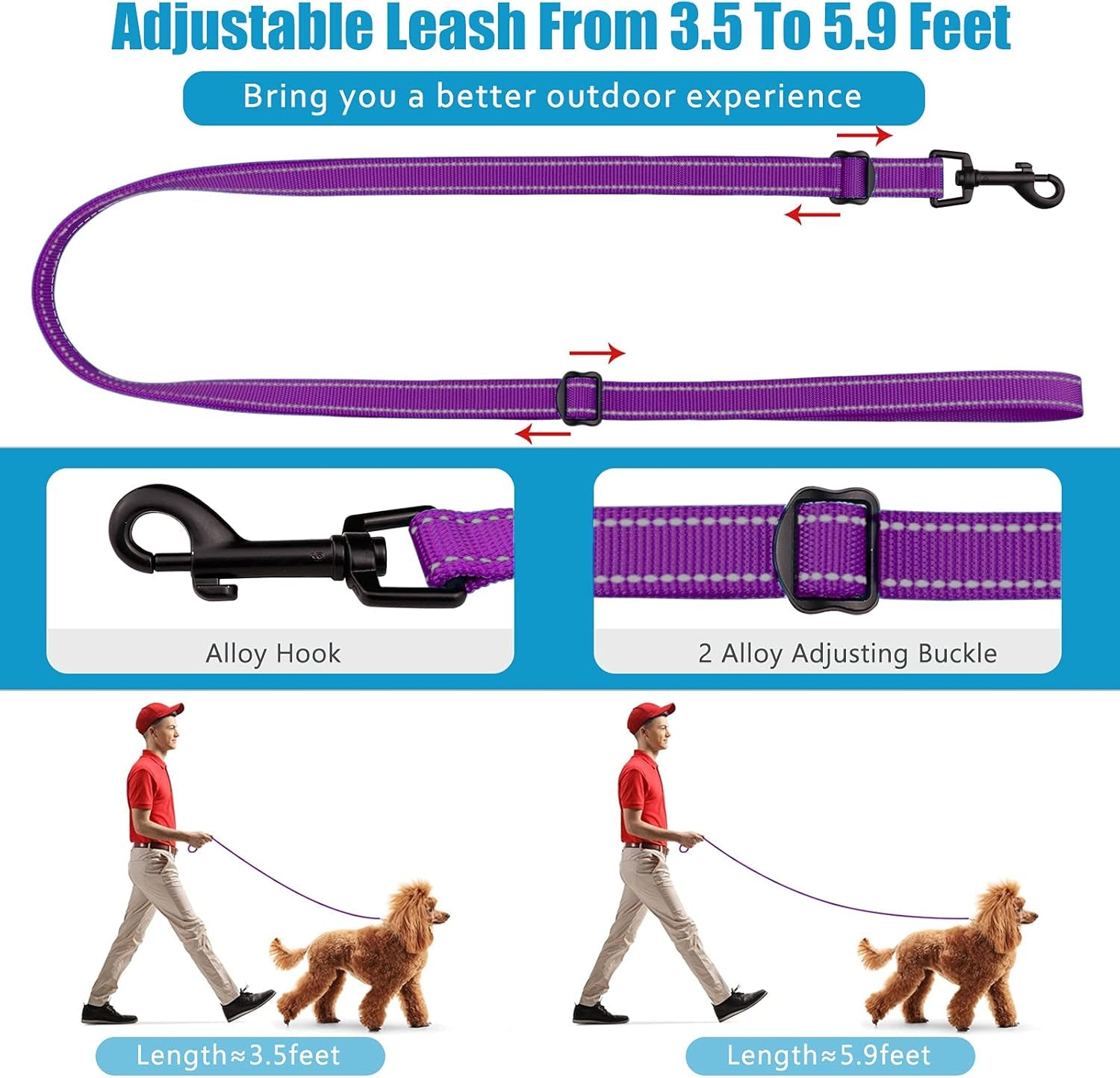 Martingale Collar & Leash Set