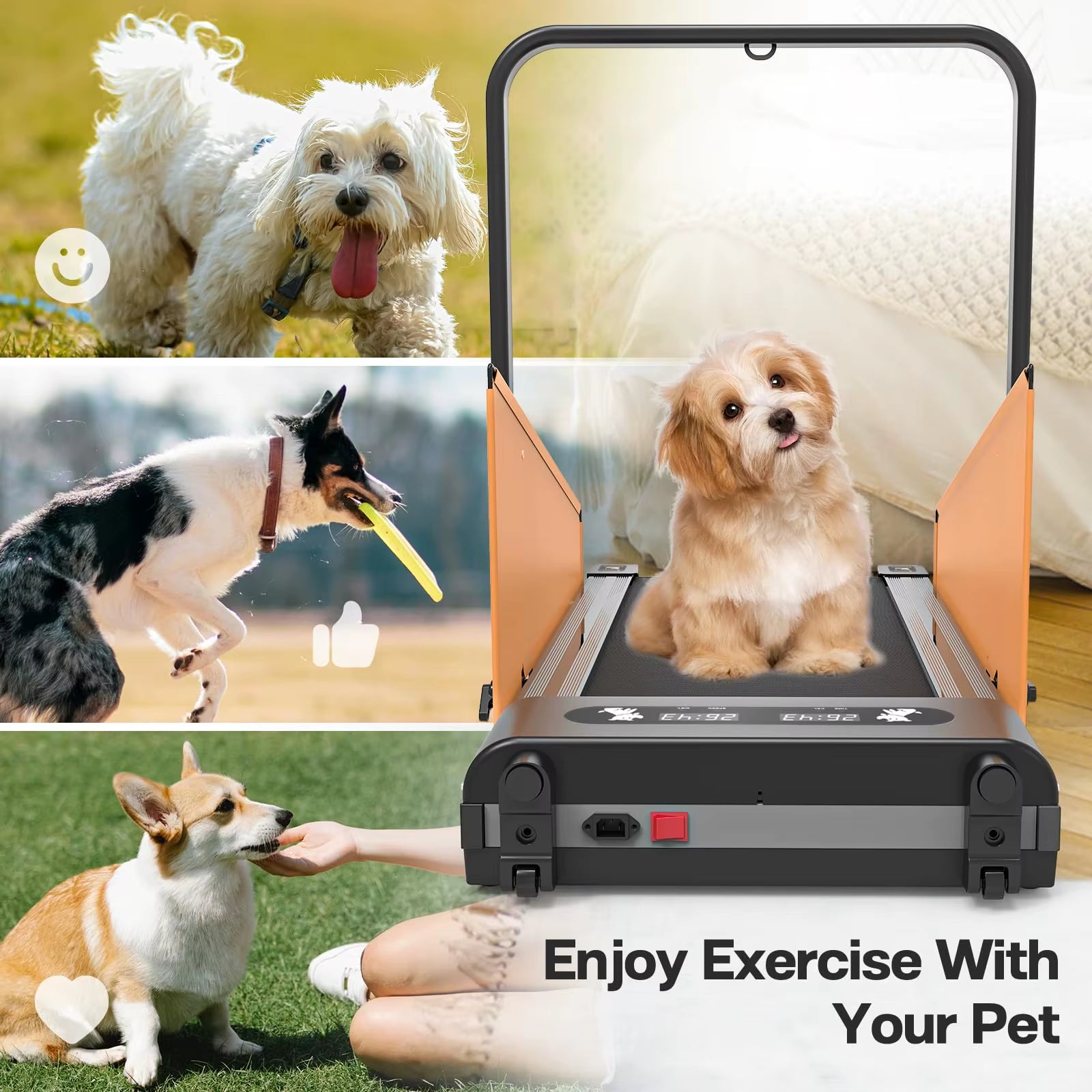 Pacer – Foldable Home Fitness Treadmill for Small & Medium Dogs