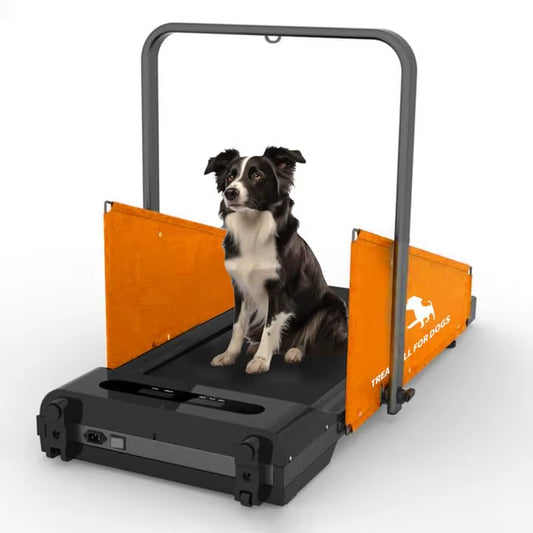 Pacer – Foldable Home Fitness Treadmill for Small & Medium Dogs
