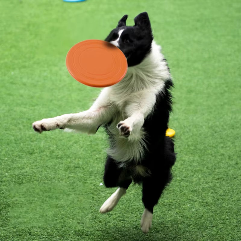 Silicone Flying Disc Toy Game For Dogs, Chew Resistant
